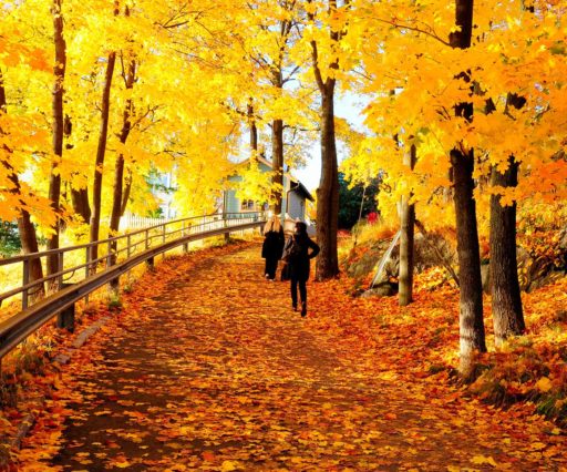Fall Finland