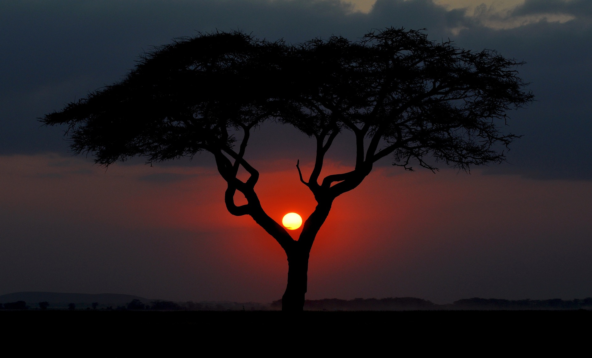 kenya 3816810 1920
